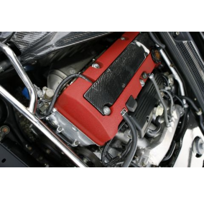 Tapa Motor Carbono    Honda - S2000 Ap1 99/-