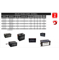 BATERIA BLACKBULL MIL24-0,77*  BATERÍAS DE LITIO ION LITIO - Monobloc LiFePO4 25,6V - BLACKBULL - GARANTIA 2 AÑOS - SIN MANTENIM