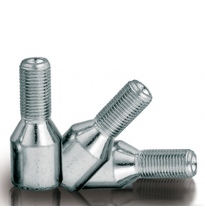 Kit 4 Tornillos Espec. 14x1,5 0  L28 10/50