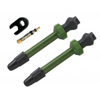Barbieri tubeless valve aluminium SV 45mm green 2 pieces