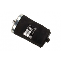 Muelle Aire Trasero Izquierdo Bilstein B3 BMW E53;HL;B3AM  40-221601