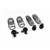 Muelles ajustables en altura BMW M2 COUPE F87 COUPE 11/2015- M2/M2 COMPETITION/M2 CS Baja Delante:20-45mm Baja detrás:0-30mm