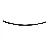 Alerón Mercedes W207 2010-2012 2P Carbono Fibra de Carbono