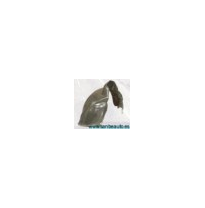 Protec.Pasorueda Lacetti Del.Dch.