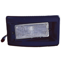 Fiat Ducato/Box/Jump 94-*Faro Antiniebla.Dch