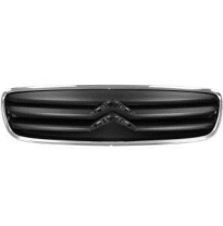 Citroen C2 08-*Rejilla Borde Cromado