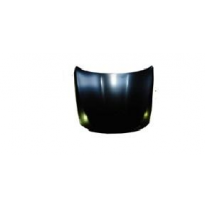 Bmw S/5 F10 10-*Capo(Chapa)