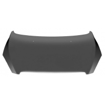 Peugeot 307 01-*Capot