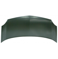 Renault Kangoo 2008-*Capo