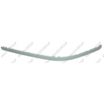 Moldura Parach.Bmw E39 S/Aguj Del.Dch. 00&gt;
