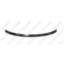 Moldura Cromada Central Parachoques Trasero