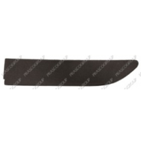 Tapagancho Delantero Derecho Para Pintar