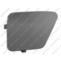 Tapagancho Delantero