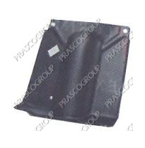 Protecion  Lateral Motor Derecho