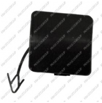 Tapagancho Delantero