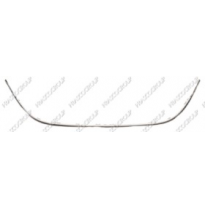 Moldura Central Paragolpes Delantero Cromado Astraj 12