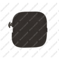 Tapagancho Delantero