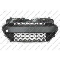 REJILLA CENTRAL PARAGOLPES