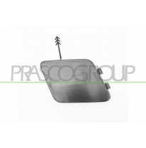 TAPAGANCHO DELANTERO