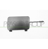 TAPAGANCHO TRASERO IZQUIERDO