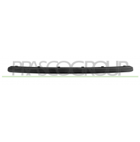 MOLDURA CENTRAL PARAGOLPES DELANTERO-NEGRA LISA
