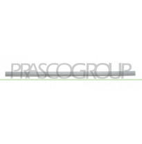 MOLDURA PUERTA DELANTERA IZQUIERDA IMPRIMADA MOD. 4 PUERTAS