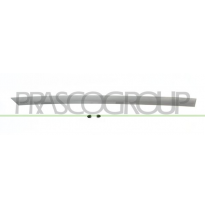 MOLDURA PUERTA TRASERA DERECHA IMPRIMADA MOD. 4 PUERTAS