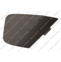 Tapagancho Delantero