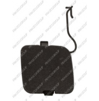 Tapagancho Delantero