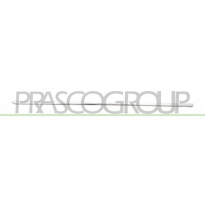 MOLDURA CROMADA PUERTA TRASERA IQUIERDA