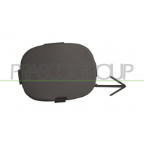 TAPAGANCHO DELANTERO