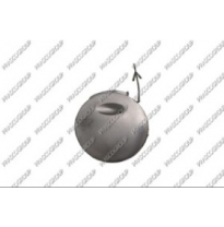 Tapagancho Delantero