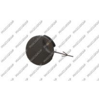 Tapagancho Delantero