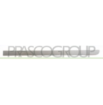 MOLDURA PUERTA TRASERO IZQUIERDA IMPRIMADA MOD. 5 PUERTAS