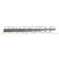 MOLDURA PUERTA DELANTERA IZQUIERDA IMPRIMADA MOD. 5 PUERTAS