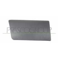 MOLDURA LATERAL TRASERA DERECHA-CON CLIPS- NEGRO/GRANULADO