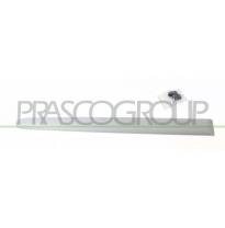 MOLDURA PUERTA TRASERA DERECHA-NEGRO/LISO MOD. 5 PUERTAS