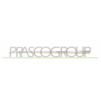 MOLDURA PUERTA DELANTERA IZQUIERDA ABS