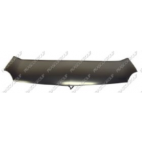 Renault Kangoo 2008-*Capo