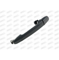 Maneta Exterior Delantera Derecha Negra/Lisa