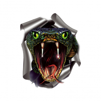 Pegatina Serpiente - 17,6x20cm