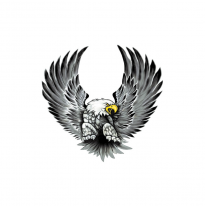 Set De Pegatinas Águilas - 2x 15x14,5cm