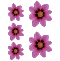 Adhesivo Jardín Floral - Rosa - 2x 16x15cm + 3x 8,5x8cm