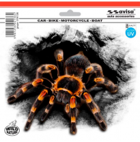 Auto Tattoo Pegatina Araña - 18,3x15,5cm