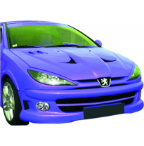 Paragolpe Peugeot 206 Delantero