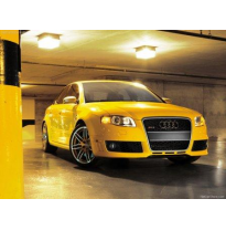 Paragolpe Delantero Audi A4 B7 Rs