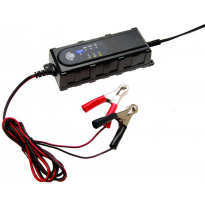 Cargador De Batería 12 V