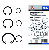 Anillos Interiores 3-32mm - 300 Piezas