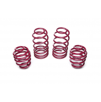 Muelles rebajados Vogtland VW  Golf IV 1J AÑO: 09.1997 - 08.2004 REBAJA: 40 / 40