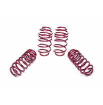 Muelles rebajados Vogtland VW  Golf V 1K AÑO: 05.2007 -  REBAJA: 35 / 35